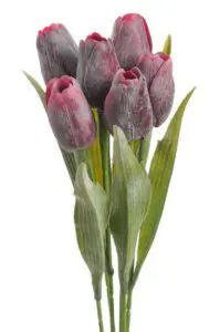 xKV.UM.-TULIPAN PLASTOVY -BORDOVY