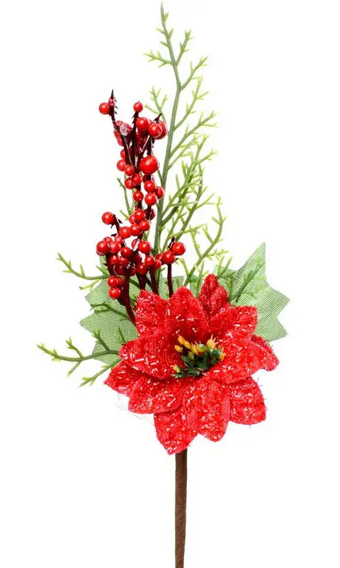 KV.UM.-VO ZAPICH POINSETIA ŠIPKY20cm