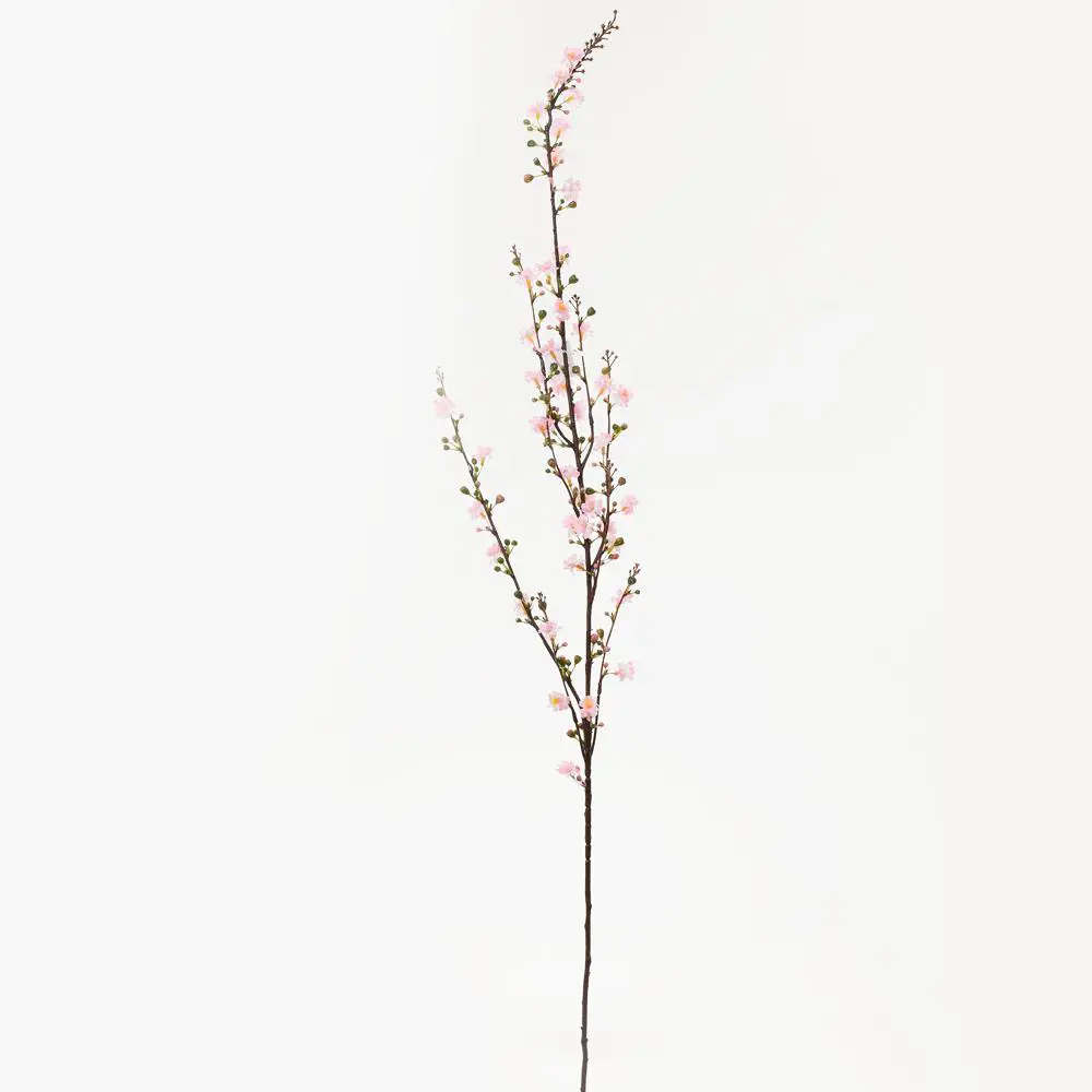KV.UM.-CERESNA 94cm - 9200191