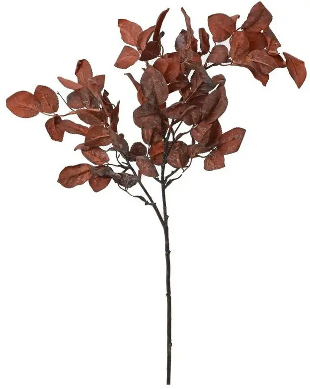 KV.UM.-JS ZELEN HNEDE LISTIE 82cm