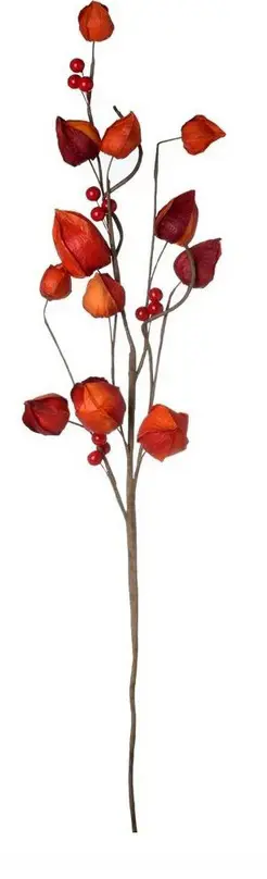 KV.UM.-JS VETVICKA PHYSALIS 70cm