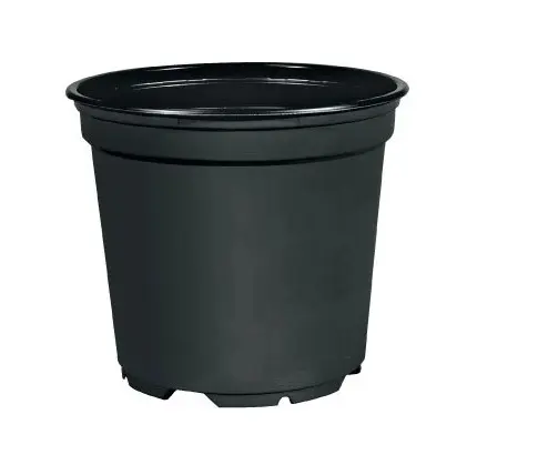 ,ZAKORENOVAC 36cm -CIERNY