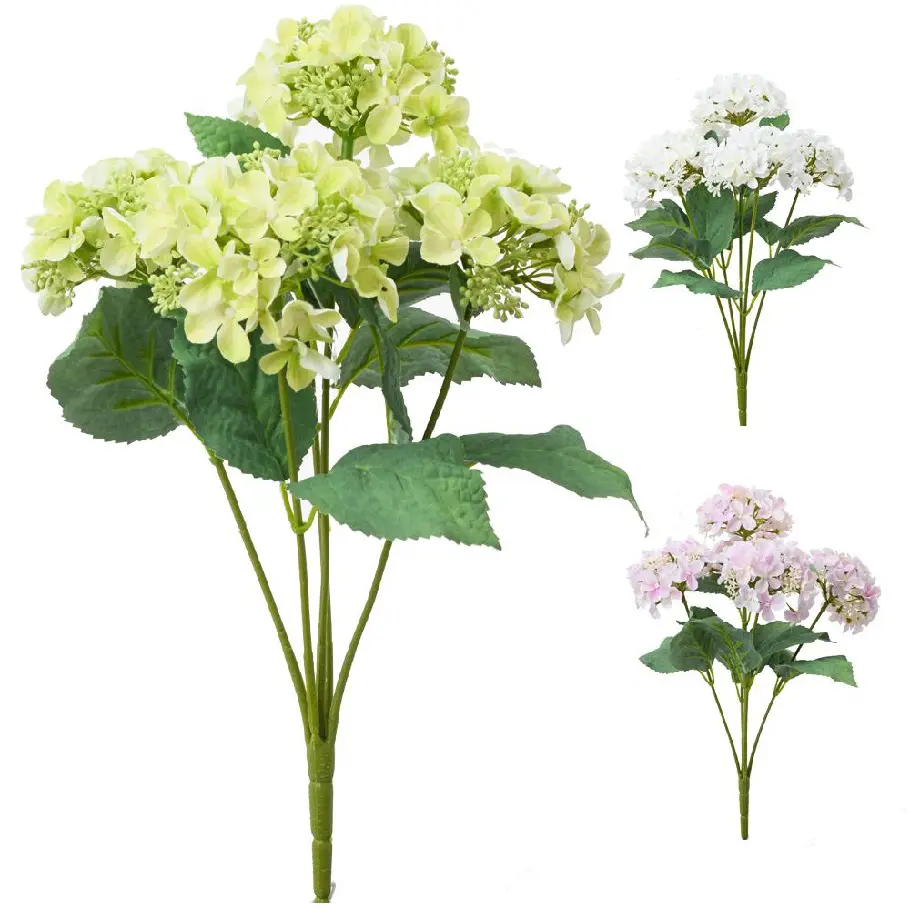 KV.UM.-HORTENZIA 3F 43cm
