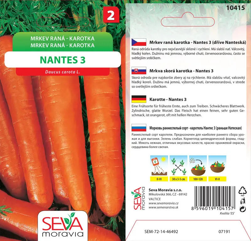 .KAROTKA  -NANTESKA 3g* M