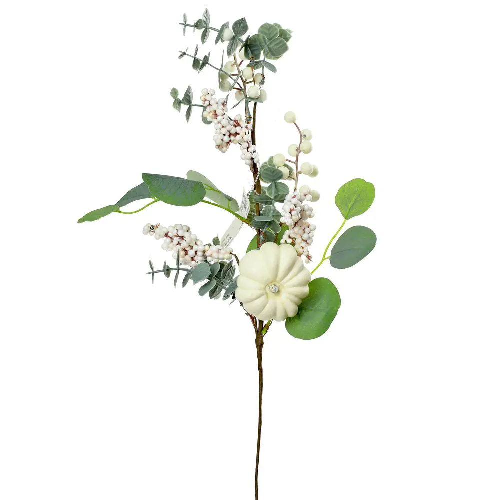 KV.UM.-JS KONAR EUCALYPTUS+TEKVICE 6