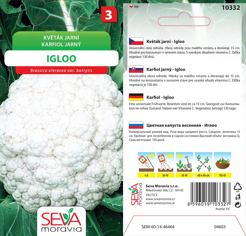 .KARFIOL JARNY -IGLOO 0,4g