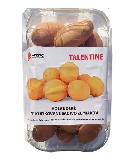 .ZEMIAKY TALENTINE STREDNE SKORE 1kg