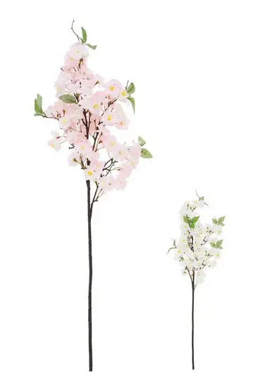 KV.UM.-KONAR CERESNA 94cm