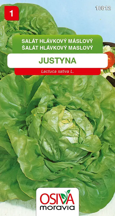 .SALAT HLAVK.MASLOVY -JUSTYNA 0,5g