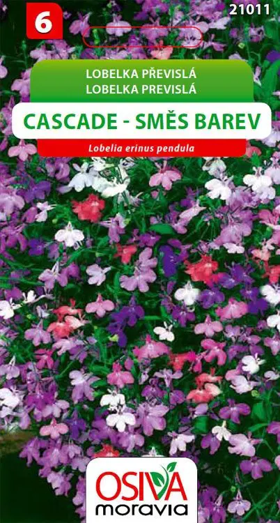 .K-LOBELKA PREVISLA -CASCADE 0,2g