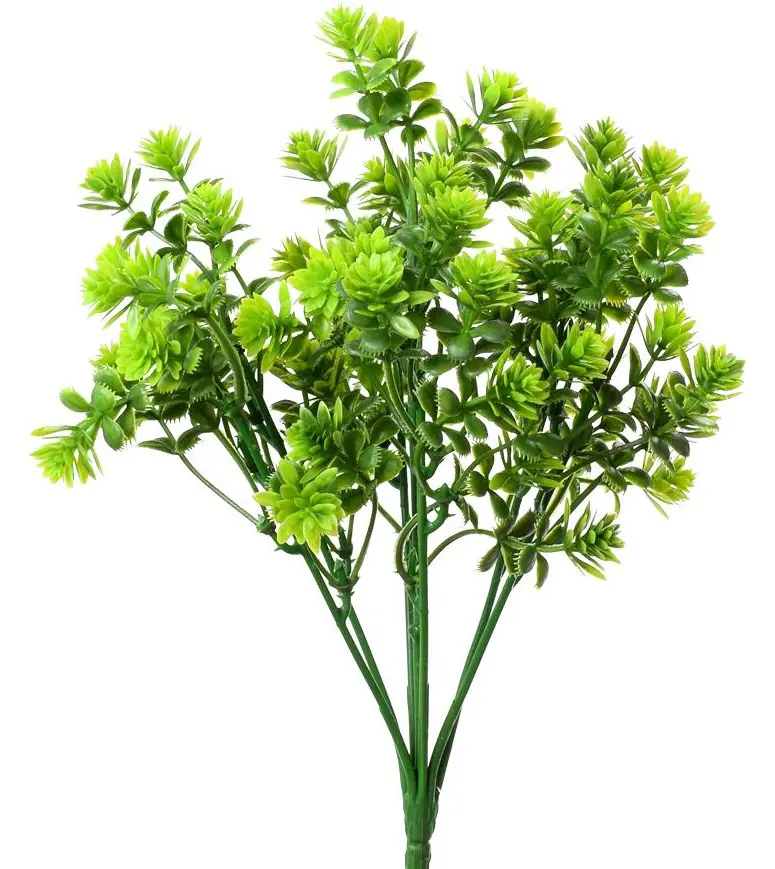 KV.UM.-ZAPICH HEBE SV.ZELENE 25cm