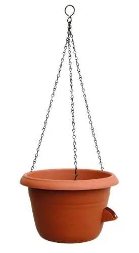 ,KVETINAC ZAVES.SIESTA +SZ+ 30cm -TE