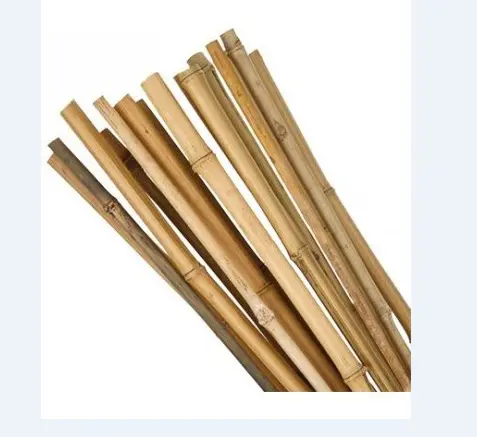 TYC BAMBUS 180cm /14-16cm/