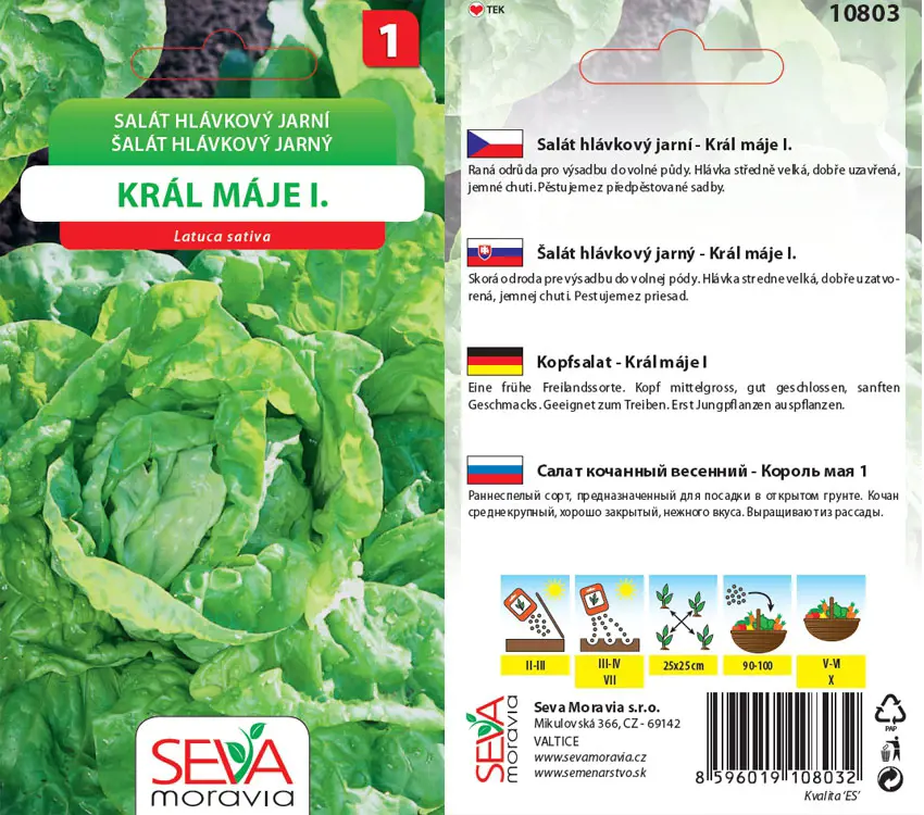 .SALAT HLAVK.JARNY -KRAL MAJE 0,5g*M