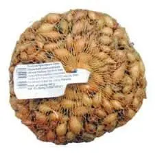 .CIBULA SADZACKA 500g -VSETANA/STURON 8-21mm