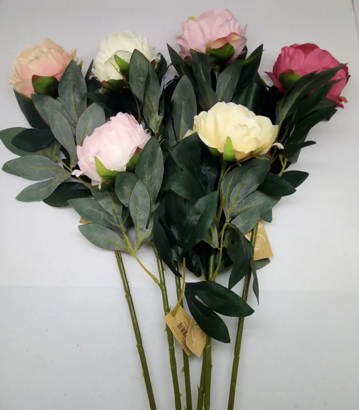 KV.UM.-PIVONIA 1KVET MIX 64cm