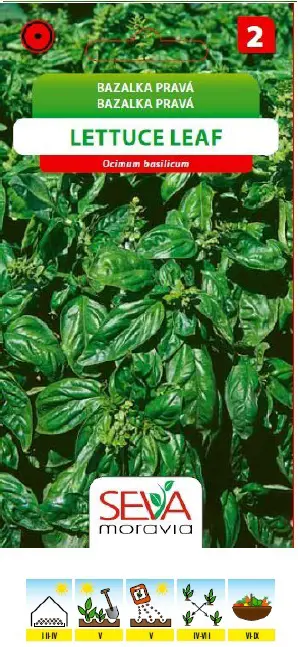 .B-BAZALKA PRAVA -LETTUCE LEAF 0,3g