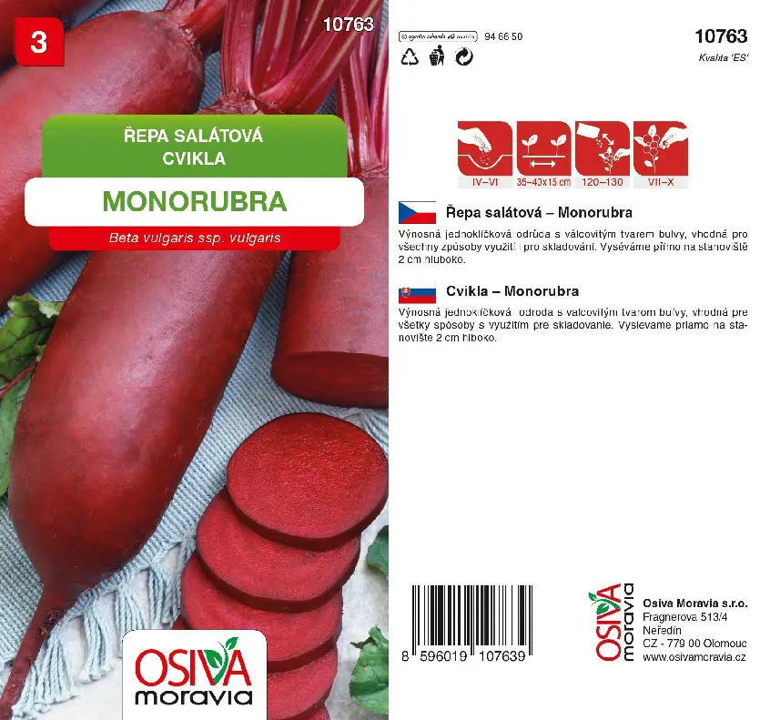 .CVIKLA SALATOVA -MONORUBRA 4g