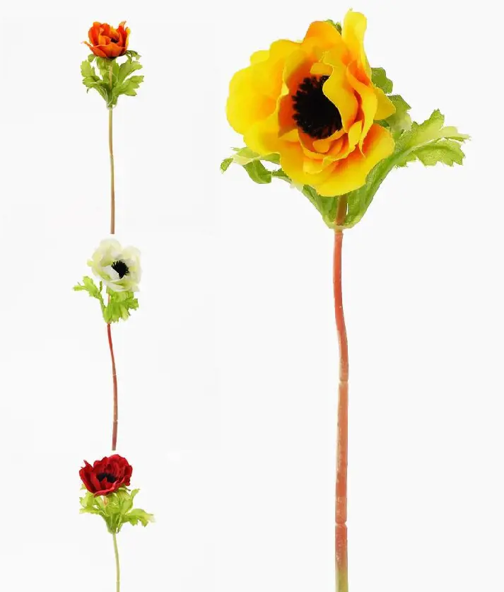 KV.UM.-ANEMONE 28cm