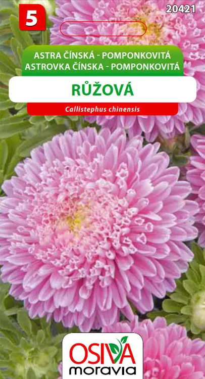 .K-ASTRA CINSKA -POMPONK.RUZOVA 0,4g