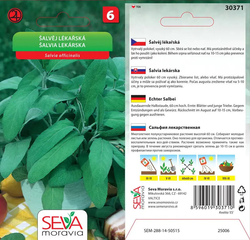 .B-SALVIA LEKARSKA 0.6g* M