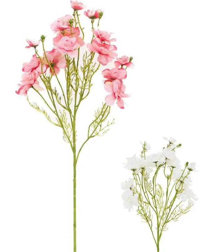 KV.UM.-DELPHINIUM 75cm