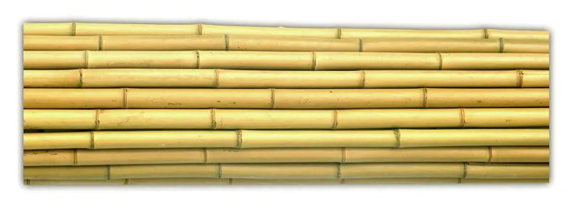 xTYC BAMBUS 240cm /26-28/