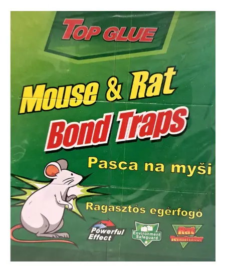 x-TOP GLUE LEPOVA PASCA NA MYSI1ks