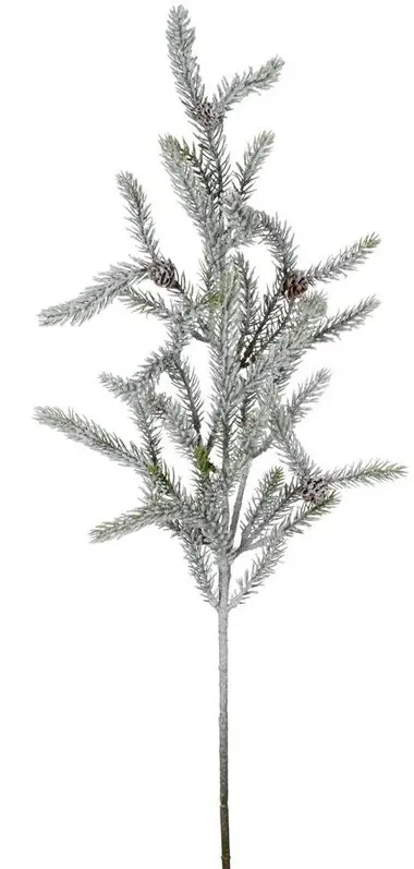 KV.UM.-VO CECINA OSNEZENY 68cm