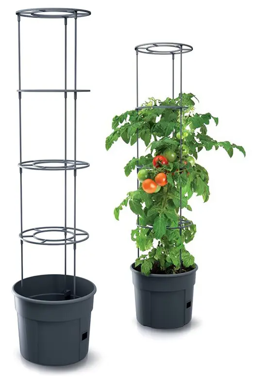 ,KVETINAC NA PEST. RAJCIN 29,5cm MAX 115cm -ANTRA