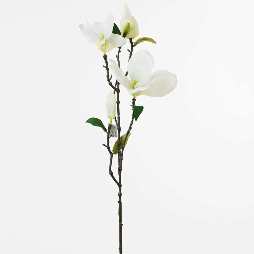 KV.UM.-MAGNOLIA 82cm -BL.RUZOVA