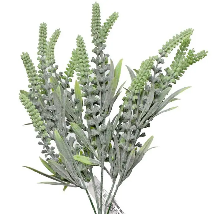 KV.UM.-LEVANDULA ZELENA 34cm