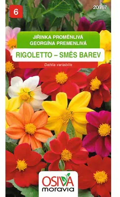 .K-GEORGINA PREM. -RIGOLETTO 0,8g