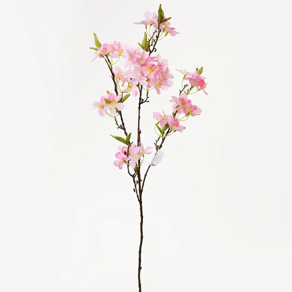 xKV.UM.-MAGNOLIA 66cm -RUZOVA