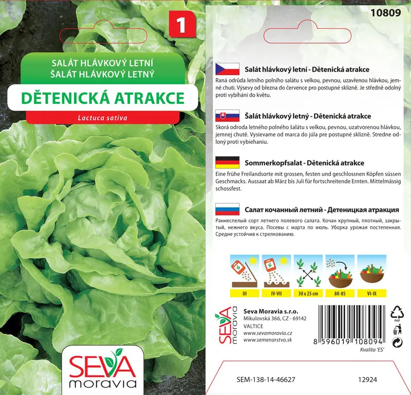 .SALAT HLAVK.LETNY -DET.ATR. 0,5g* M