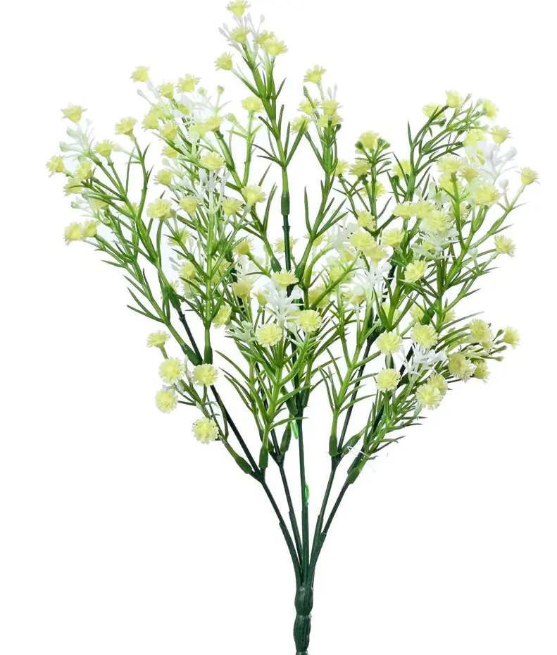 KV.UM.-GYPSOMILKA ZLTA 32cm