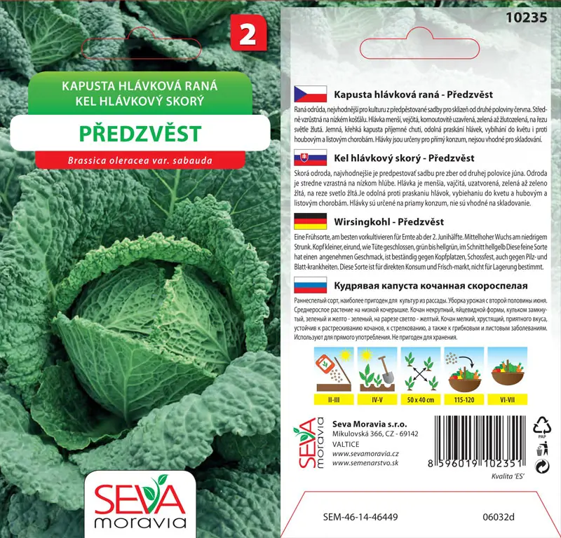 .KEL HLAVK.SKORY  -PREDZVEST 0,8g