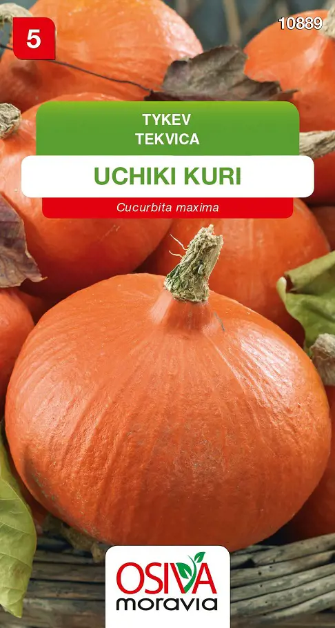 .TEKVICA -UCHIKI KURI 10s
