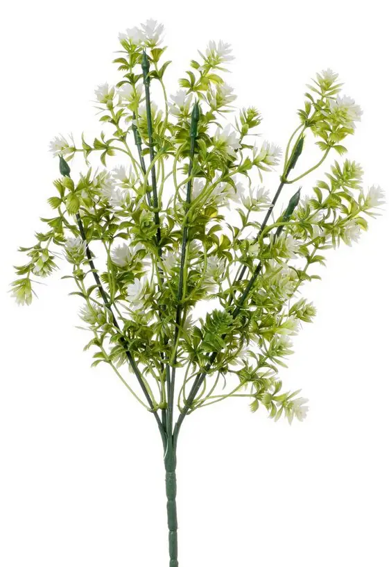KV.UM.-ZAPICH SEDUM ZELENO-BIELE