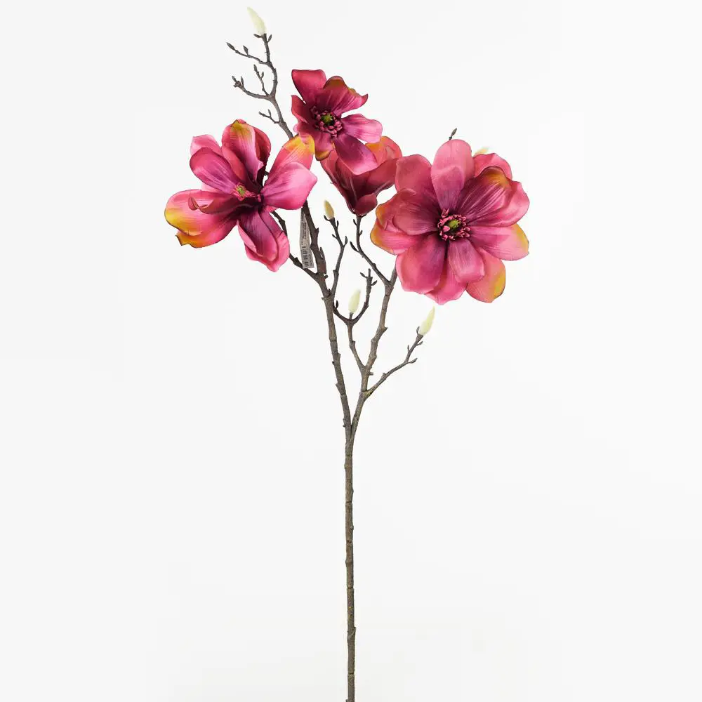 KV.UM.-KONAR MAGNOLIA 86cm