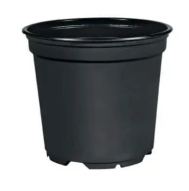 ,ZAKORENOVAC 29cm -CIERNY