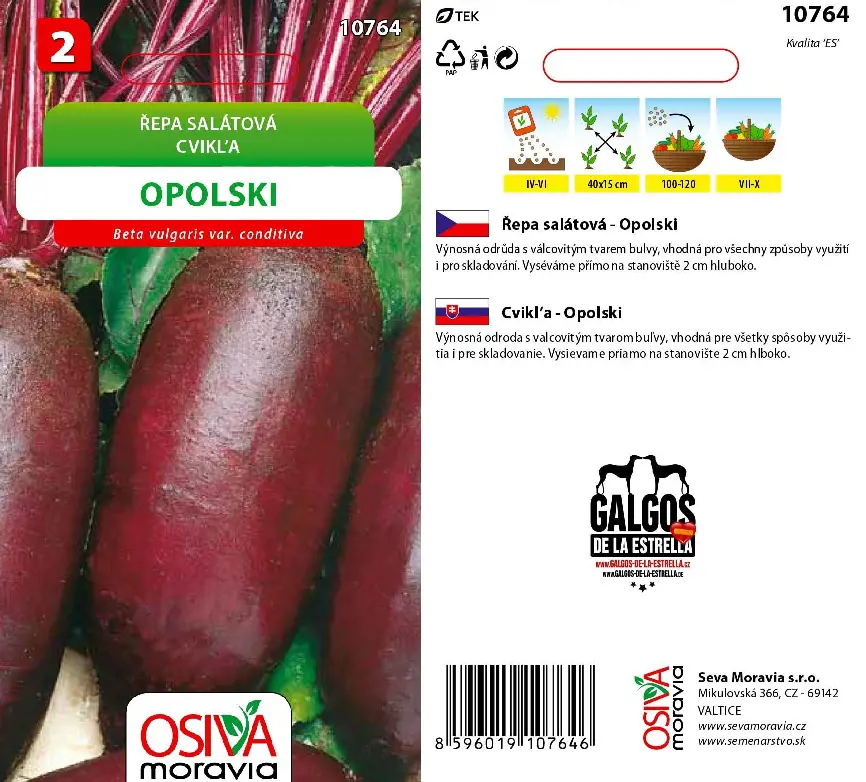 .CVIKLA SALATOVA -OPOLSKI 4g
