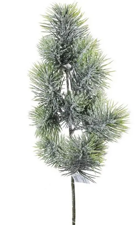 KV.UM.-VO CECINA OSNEZENA 55cm