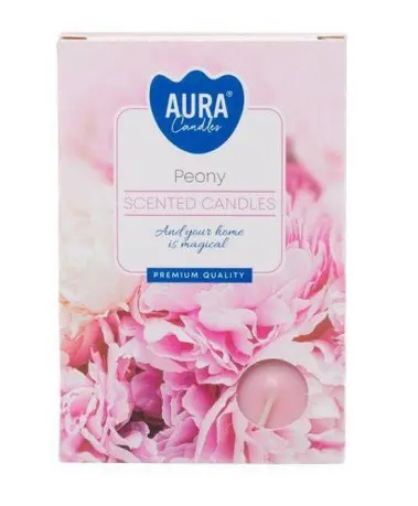 KAHANCE CAJ.VONAVE 6ks -PEONY