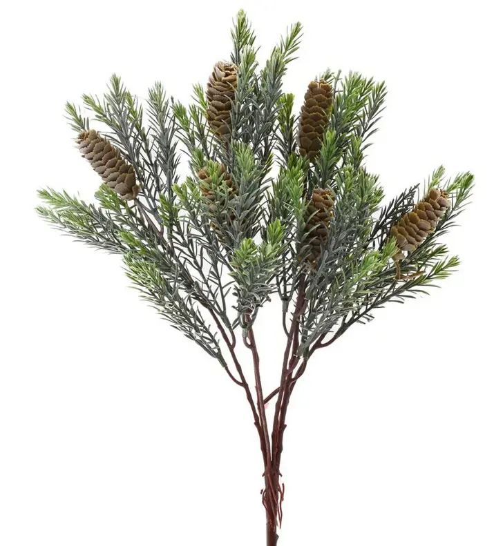KV.UM.-ZELEN CECINA,SISKY 42cm