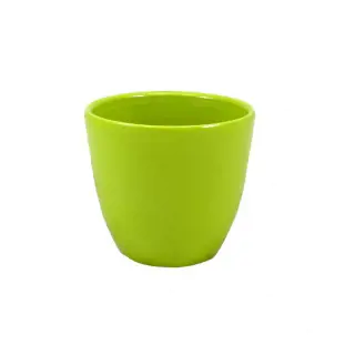 x,K-OBAL KAKTUS SPRING ZELENY 71.022.