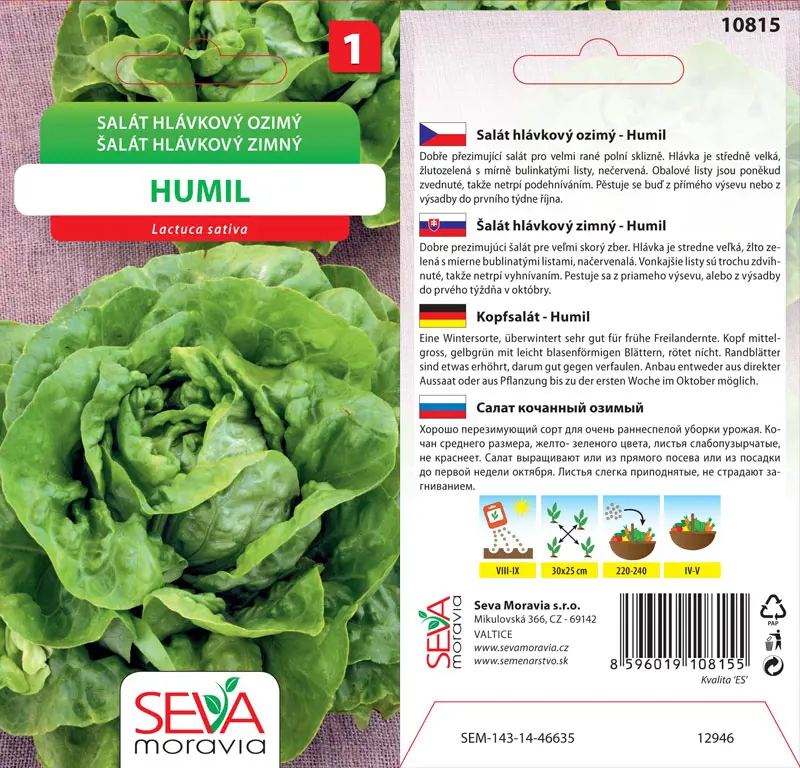 .SALAT HLAVK.OZIMNY -HUMIL 0,3g* M