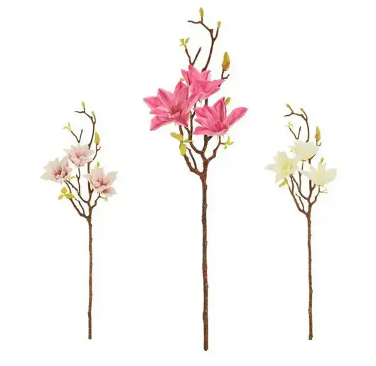 xKV.UM.-KONAR MAGNOLIA 78cm