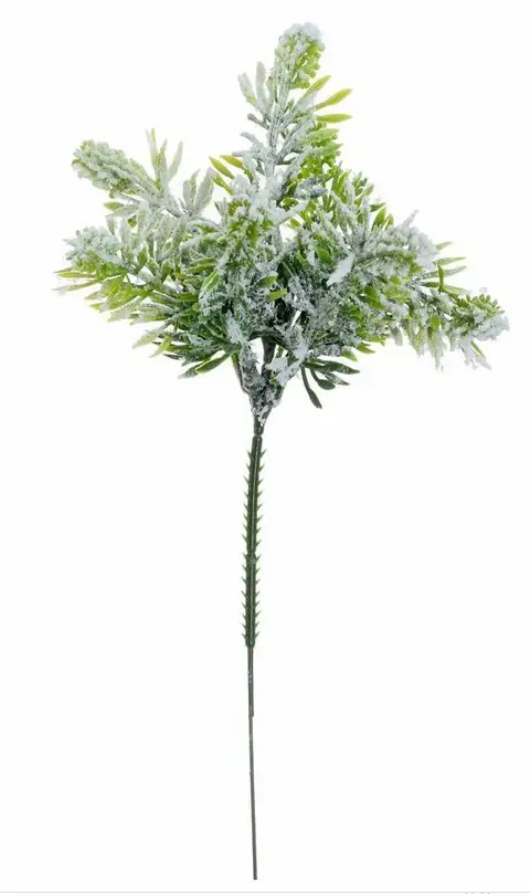 KV.UM.-VO CECINA ZASN. 26cm