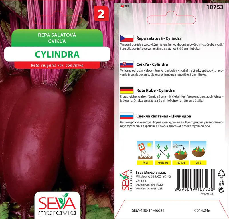 .CVIKLA SALATOVA -CYLINDRA 4g* M